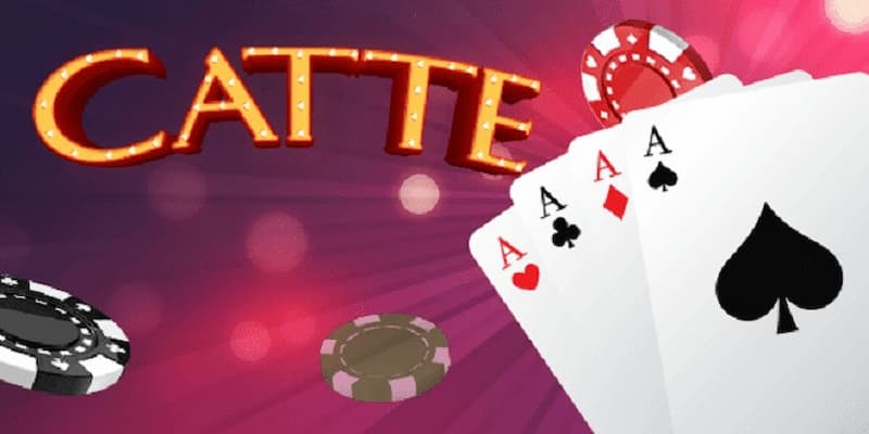 Bài Catte 6 lá về giới thiệu