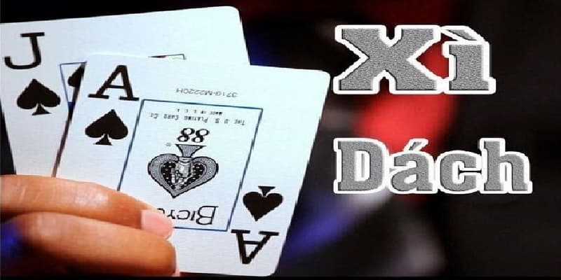Xì dách 2 giới thiệu